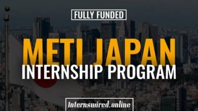 METI Japan Internship Program