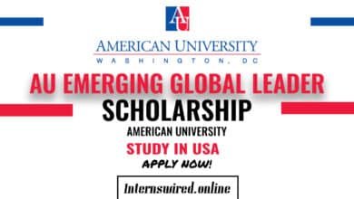 AU Emerging Global Leader Scholarship in USA