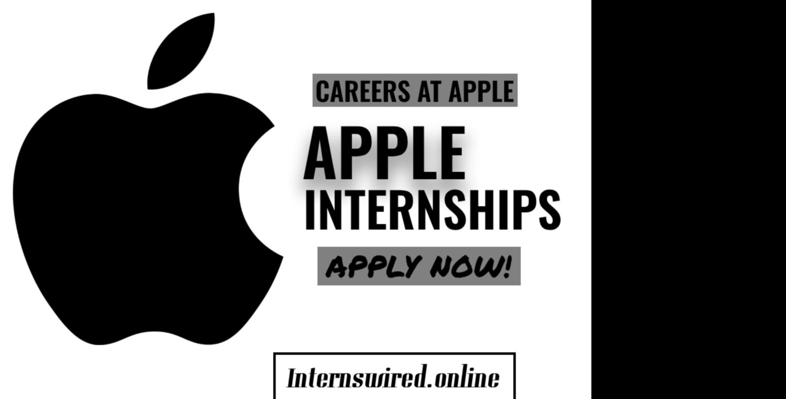 Apple Internships 2024